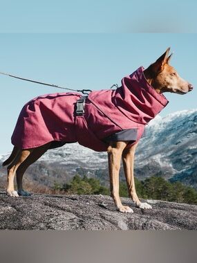 Hurtta Dog Coat Jacket Beetruit pink 16 inches or 40 Centimeters 16”. NWT